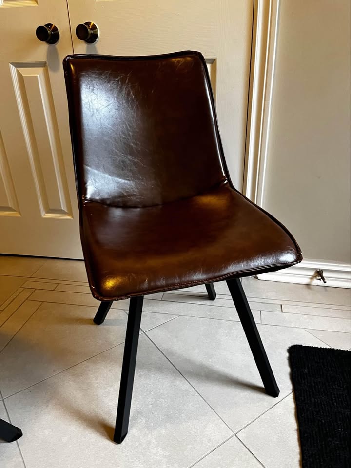 Leather Dining Chairs (Set of 2)