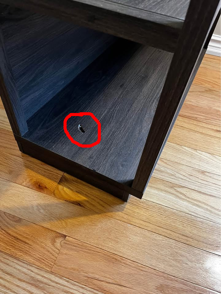 Latitude Run Thalia Bookcase - Minor Cosmetic Damage