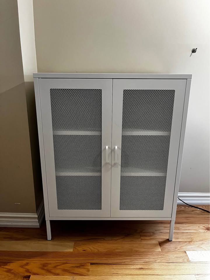 Eddison Mesh 2-Door Accent Storage Cabinet