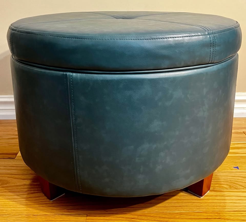 Breyonce Faux Leather Storage Ottoman – Teal