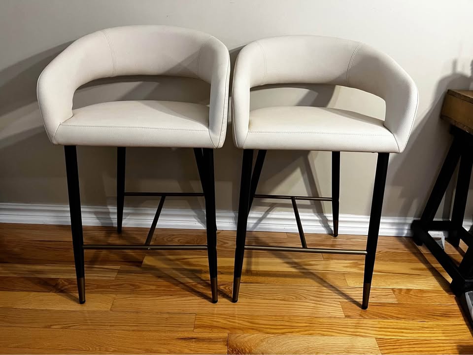 Aracelio Upholstered Counter Stool with Metal Frame (Set of 2)