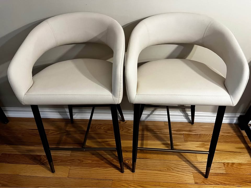 Aracelio Upholstered Counter Stool with Metal Frame (Set of 2)