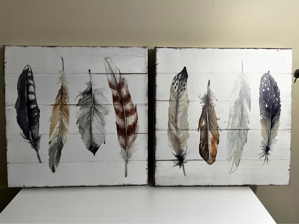 Shiplap Feathers I – Set of 2 (16” x 16”)