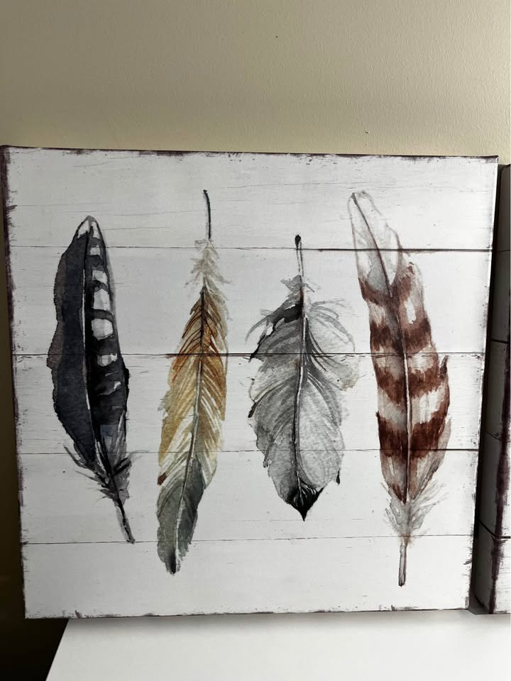 Shiplap Feathers I – Set of 2 (16” x 16”)
