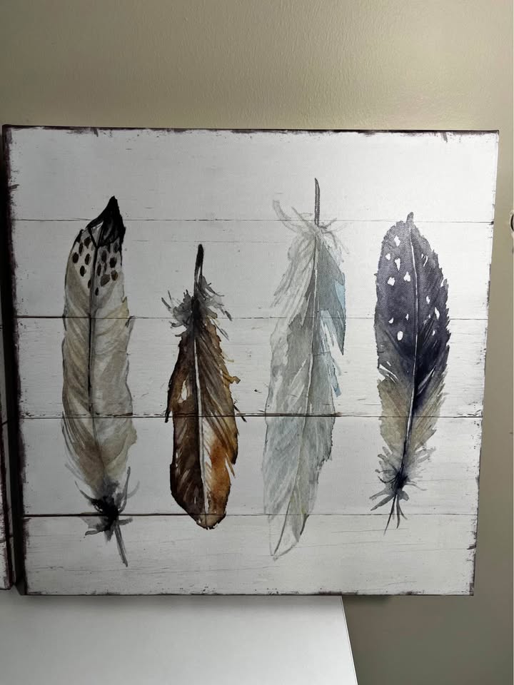 Shiplap Feathers I – Set of 2 (16” x 16”)